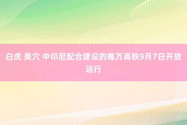 白虎 美穴 中印尼配合建设的雅万高铁9月7日开放运行