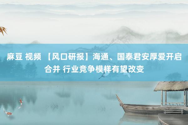 麻豆 视频 【风口研报】海通、国泰君安厚爱开启合并 行业竞争模样有望改变