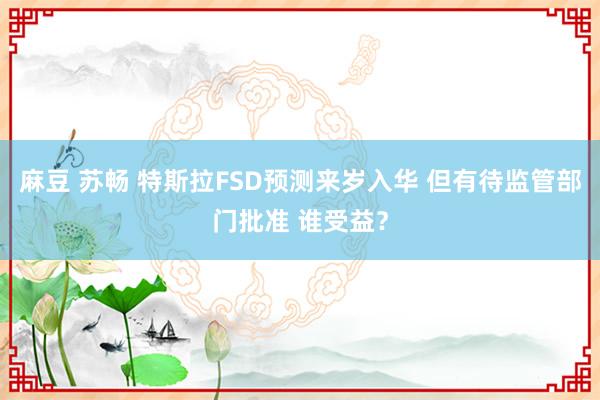 麻豆 苏畅 特斯拉FSD预测来岁入华 但有待监管部门批准 谁受益？