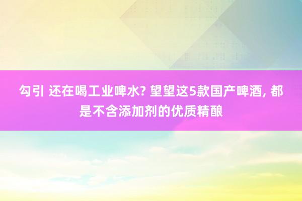 勾引 还在喝工业啤水? 望望这5款国产啤酒， 都是不含添加剂的优质精酿