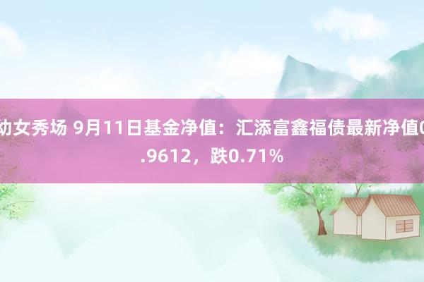 幼女秀场 9月11日基金净值：汇添富鑫福债最新净值0.9612，跌0.71%