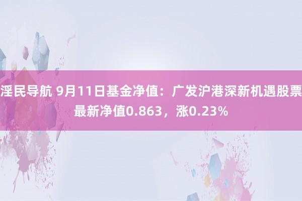 淫民导航 9月11日基金净值：广发沪港深新机遇股票最新净值0.863，涨0.23%