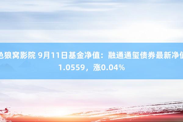 色狼窝影院 9月11日基金净值：融通通玺债券最新净值1.0559，涨0.04%