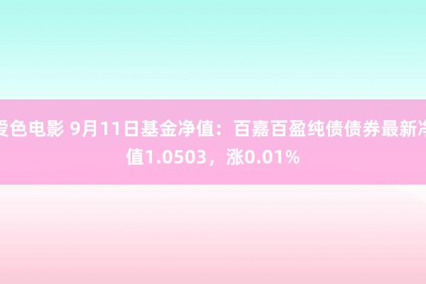 爱色电影 9月11日基金净值：百嘉百盈纯债债券最新净值1.0503，涨0.01%