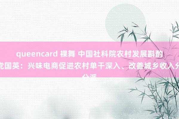 queencard 裸舞 中国社科院农村发展斟酌所党国英：兴味电商促进农村单干深入、改善城乡收入分派