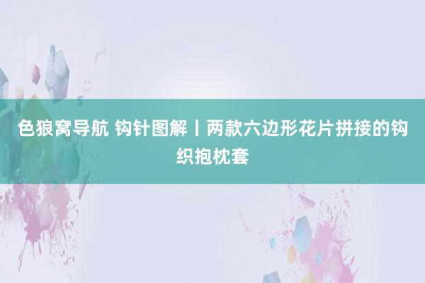 色狼窝导航 钩针图解丨两款六边形花片拼接的钩织抱枕套