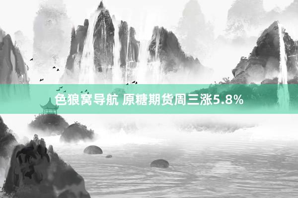 色狼窝导航 原糖期货周三涨5.8%