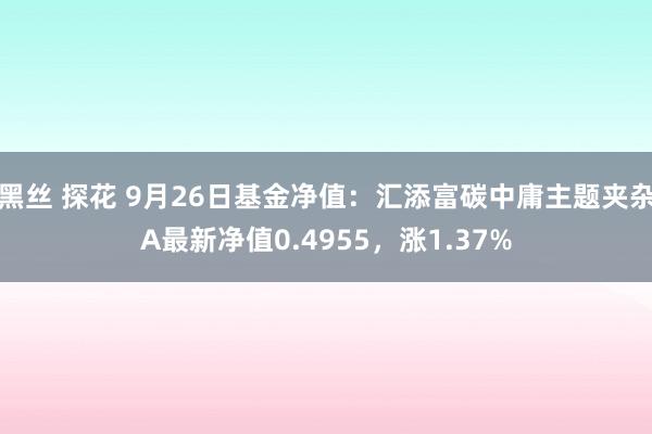 黑丝 探花 9月26日基金净值：汇添富碳中庸主题夹杂A最新净值0.4955，涨1.37%