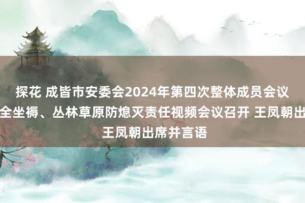 探花 成皆市安委会2024年第四次整体成员会议暨全市安全坐褥、丛林草原防熄灭责任视频会议召开 王凤朝出席并言语