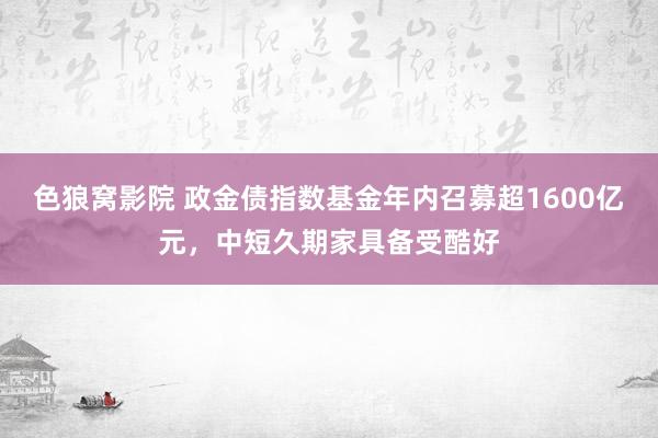 色狼窝影院 政金债指数基金年内召募超1600亿元，中短久期家具备受酷好