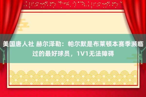 美国唐人社 赫尔泽勒：帕尔默是布莱顿本赛季濒临过的最好球员，1V1无法障碍