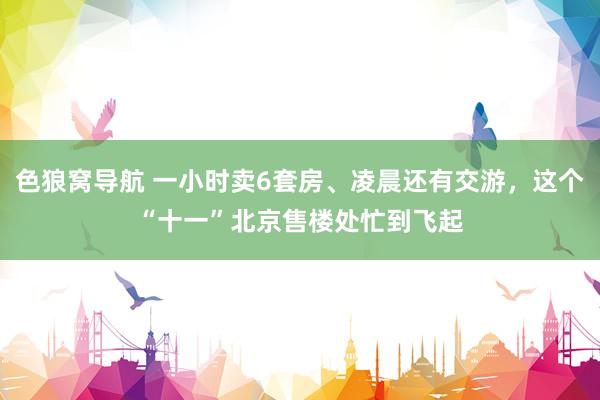 色狼窝导航 一小时卖6套房、凌晨还有交游，这个“十一”北京售楼处忙到飞起