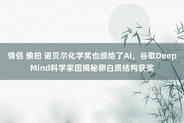 情侣 偷拍 诺贝尔化学奖也颁给了AI，谷歌DeepMind科学家因揭秘卵白质结构获奖