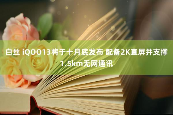 白丝 iQOO13将于十月底发布 配备2K直屏并支撑1.5km无网通讯