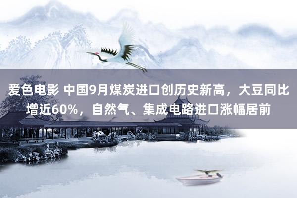 爱色电影 中国9月煤炭进口创历史新高，大豆同比增近60%，自然气、集成电路进口涨幅居前