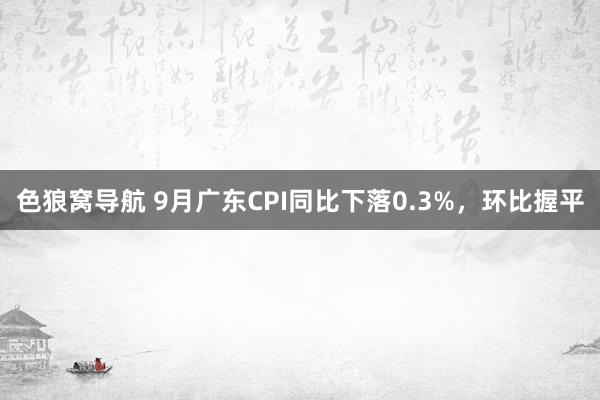 色狼窝导航 9月广东CPI同比下落0.3%，环比握平