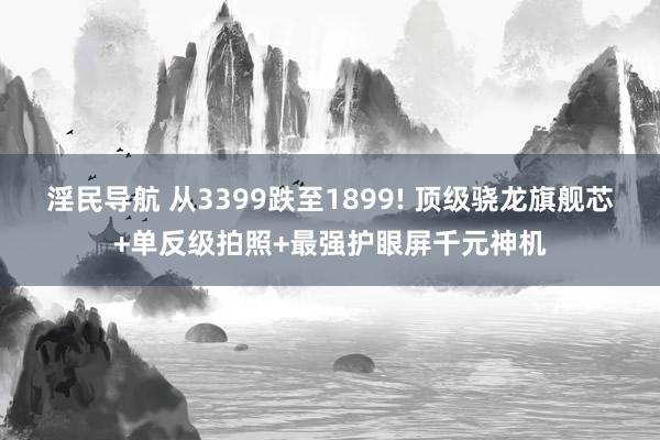 淫民导航 从3399跌至1899! 顶级骁龙旗舰芯+单反级拍照+最强护眼屏千元神机