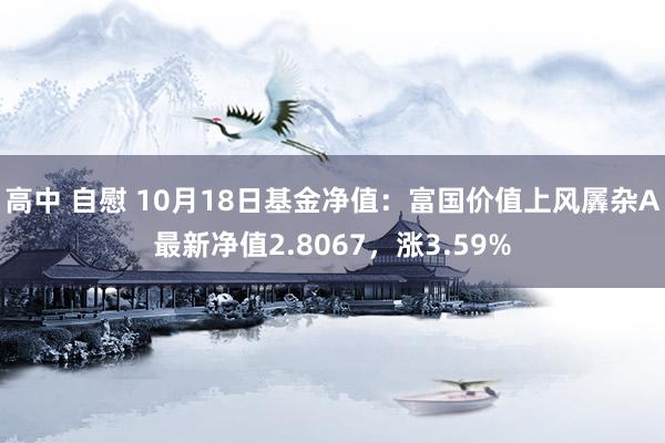 高中 自慰 10月18日基金净值：富国价值上风羼杂A最新净值2.8067，涨3.59%