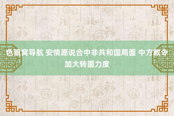 色狼窝导航 安情愿说合中非共和国局面 中方敕令加大转圜力度