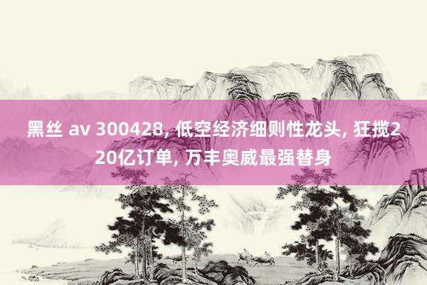 黑丝 av 300428， 低空经济细则性龙头， 狂揽220亿订单， 万丰奥威最强替身