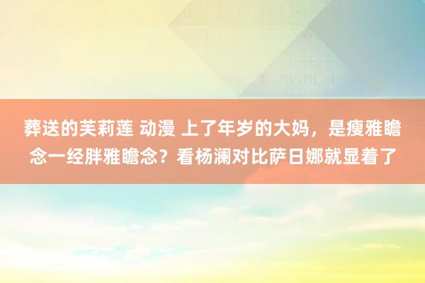 葬送的芙莉莲 动漫 上了年岁的大妈，是瘦雅瞻念一经胖雅瞻念？看杨澜对比萨日娜就显着了