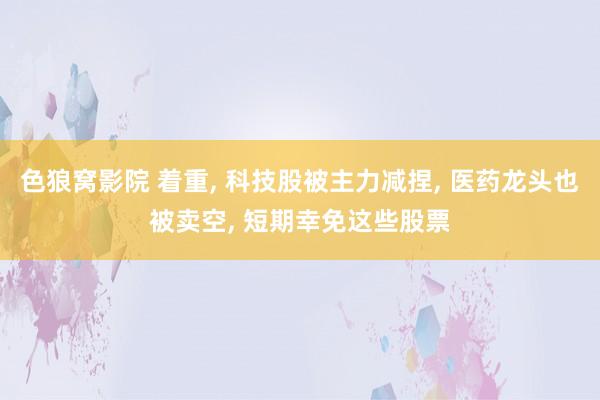 色狼窝影院 着重， 科技股被主力减捏， 医药龙头也被卖空， 短期幸免这些股票