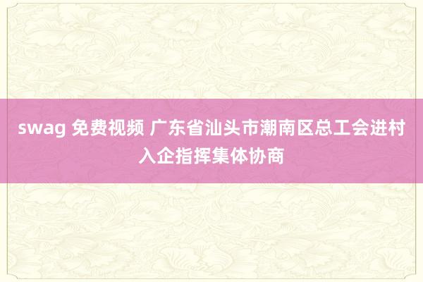 swag 免费视频 广东省汕头市潮南区总工会进村入企指挥集体协商