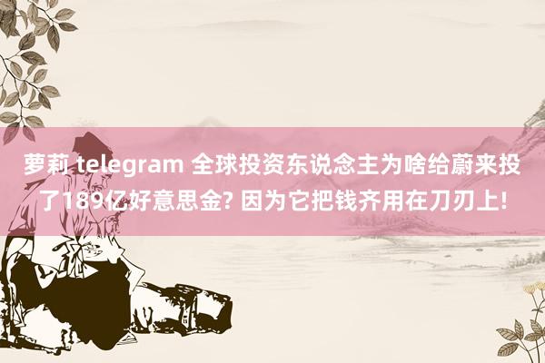 萝莉 telegram 全球投资东说念主为啥给蔚来投了189亿好意思金? 因为它把钱齐用在刀刃上!