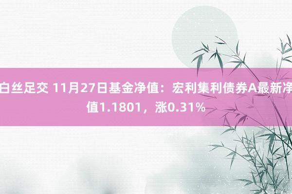 白丝足交 11月27日基金净值：宏利集利债券A最新净值1.1801，涨0.31%