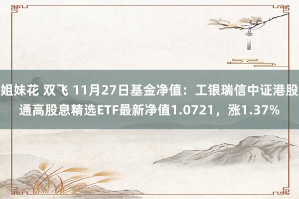 姐妹花 双飞 11月27日基金净值：工银瑞信中证港股通高股息精选ETF最新净值1.0721，涨1.37%