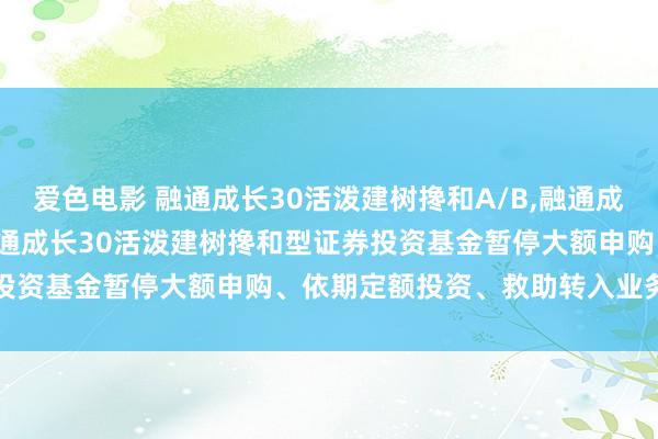 爱色电影 融通成长30活泼建树搀和A/B，融通成长30活泼建树搀和C: 融通成长30活泼建树搀和型证券投资基金暂停大额申购、依期定额投资、救助转入业务的公告