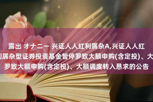 露出 オナニー 兴证人人红利羼杂A，兴证人人红利羼杂C: 兴证人人红利羼杂型证券投资基金暂停罗致大额申购(含定投)、大额调度转入恳求的公告