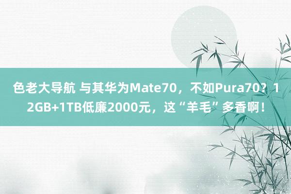 色老大导航 与其华为Mate70，不如Pura70？12GB+1TB低廉2000元，这“羊毛”多香啊！