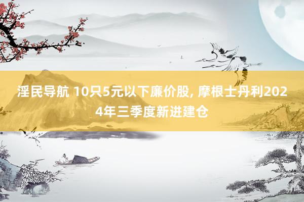 淫民导航 10只5元以下廉价股， 摩根士丹利2024年三季度新进建仓