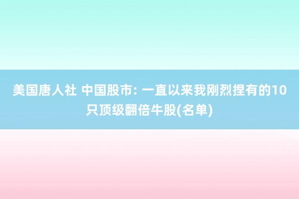 美国唐人社 中国股市: 一直以来我刚烈捏有的10只顶级翻倍牛股(名单)