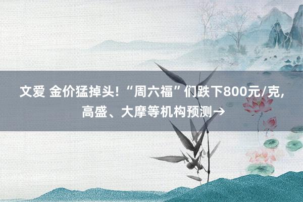 文爱 金价猛掉头! “周六福”们跌下800元/克， 高盛、大摩等机构预测→