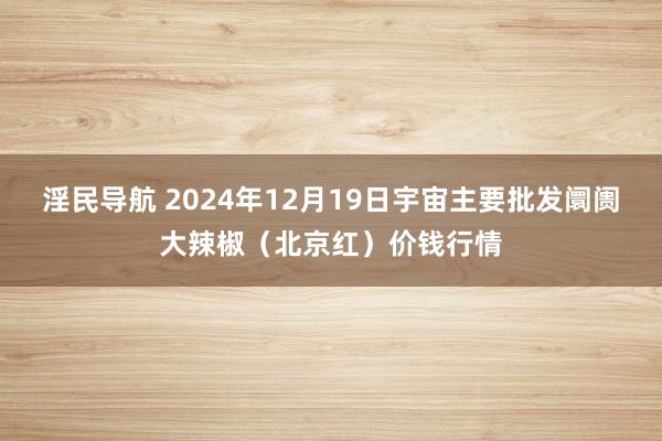 淫民导航 2024年12月19日宇宙主要批发阛阓大辣椒（北京红）价钱行情