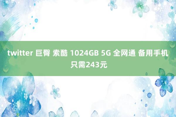 twitter 巨臀 索酷 1024GB 5G 全网通 备用手机 只需243元