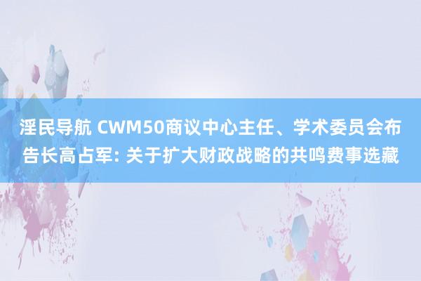 淫民导航 CWM50商议中心主任、学术委员会布告长高占军: 关于扩大财政战略的共鸣费事选藏