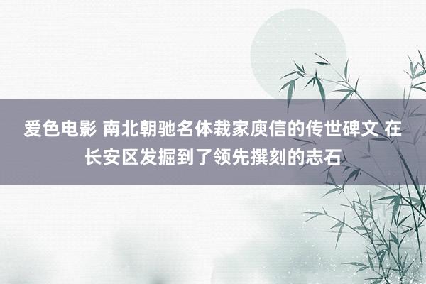 爱色电影 南北朝驰名体裁家庾信的传世碑文 在长安区发掘到了领先撰刻的志石