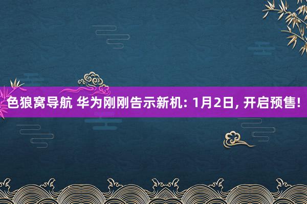 色狼窝导航 华为刚刚告示新机: 1月2日， 开启预售!