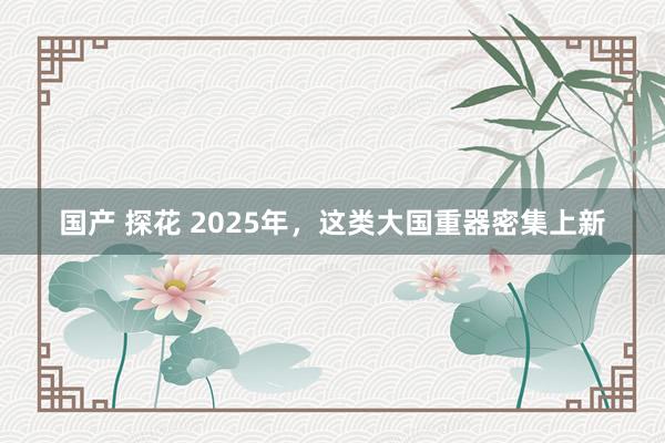 国产 探花 2025年，这类大国重器密集上新