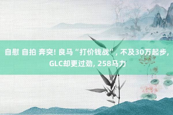 自慰 自拍 奔突! 良马“打价钱战”， 不及30万起步， GLC却更过劲， 258马力