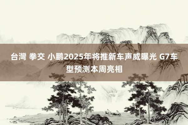 台灣 拳交 小鹏2025年将推新车声威曝光 G7车型预测本周亮相