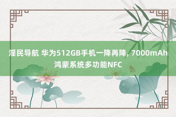 淫民导航 华为512GB手机一降再降， 7000mAh鸿蒙系统多功能NFC