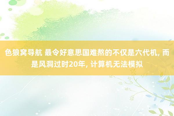 色狼窝导航 最令好意思国难熬的不仅是六代机， 而是风洞过时20年， 计算机无法模拟