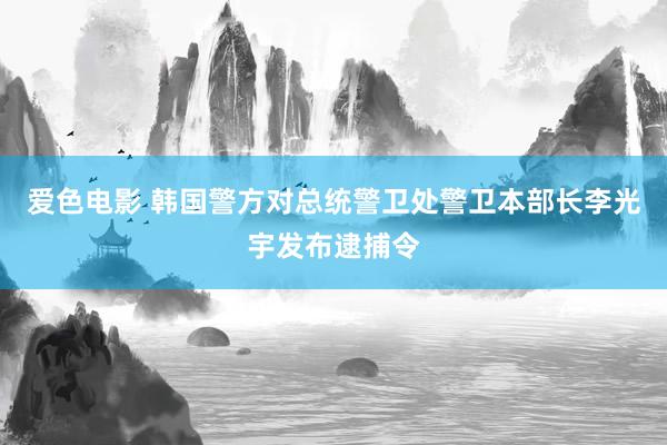 爱色电影 韩国警方对总统警卫处警卫本部长李光宇发布逮捕令