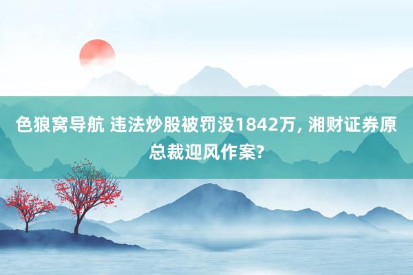 色狼窝导航 违法炒股被罚没1842万， 湘财证券原总裁迎风作案?