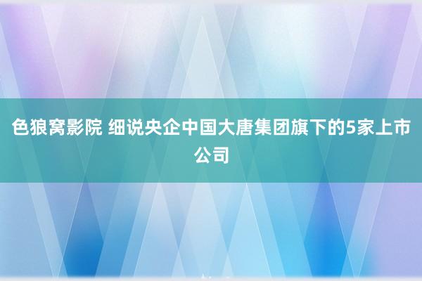 色狼窝影院 细说央企中国大唐集团旗下的5家上市公司